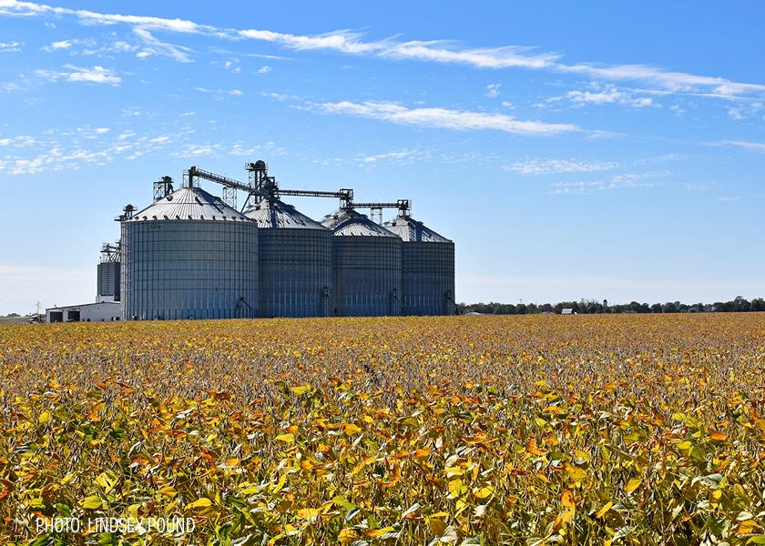 Drought, Biodiesel Impacting Soybean Oil Prices and Exports Ag